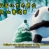 学英语 北京冬奥会 吉祥物冰墩墩 比赛项目
