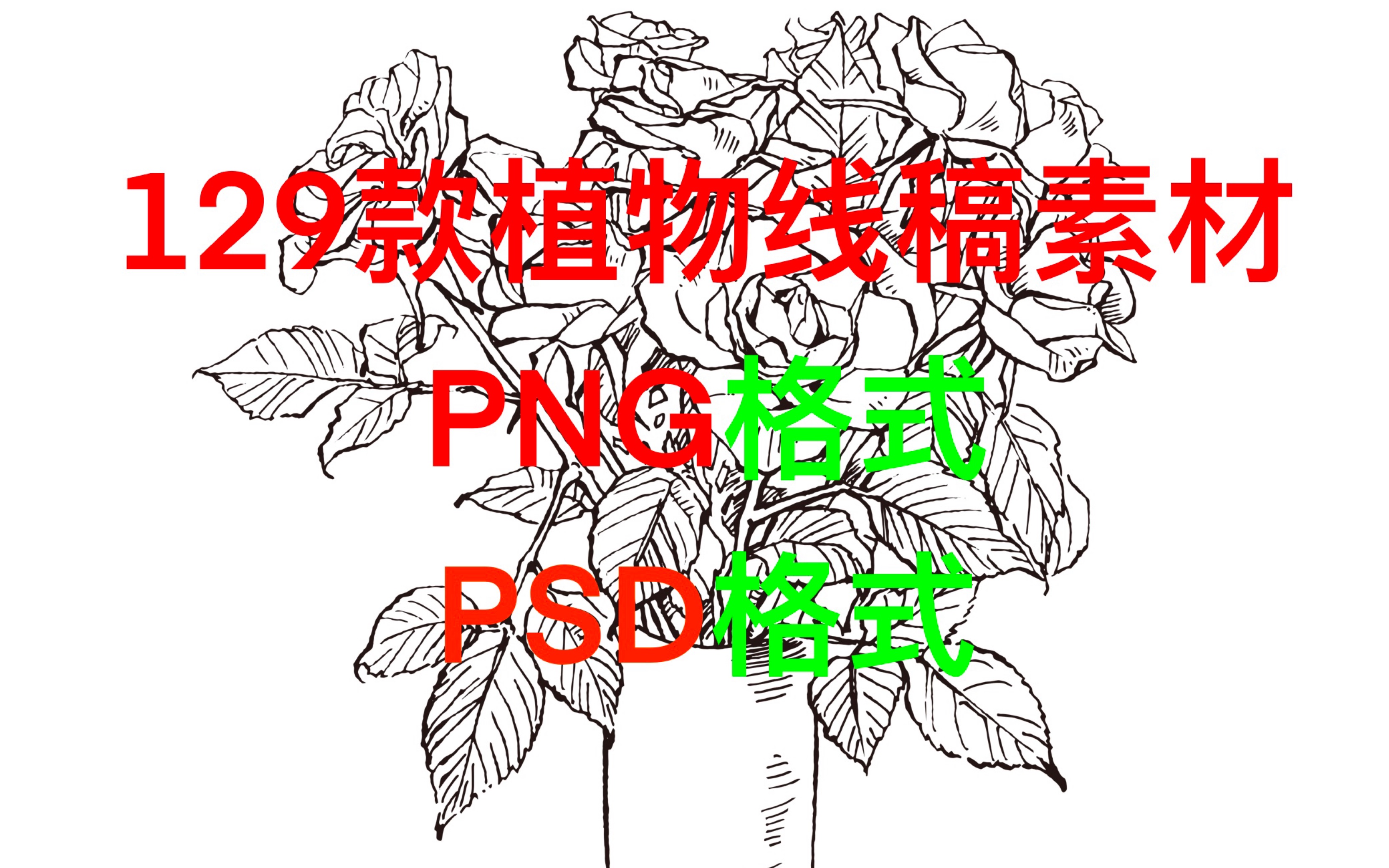 129款植物线稿素材｜各软件通用｜PNG / PSD格式｜三连后简介自取哦