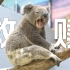 亏损3000万的“中国最好动物园”，看哭千万人【人间最强】