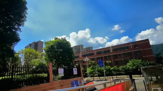 杭州文澜小学情况概述