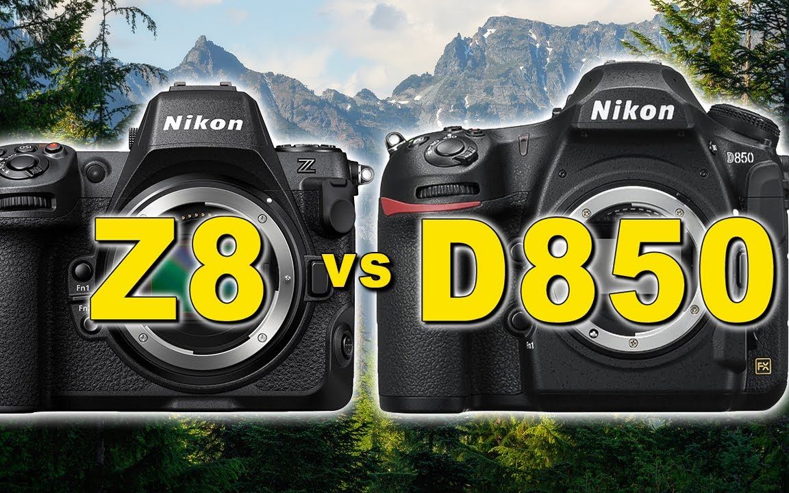 尼康 Z8 与尼康 D850 - 图像质量评测