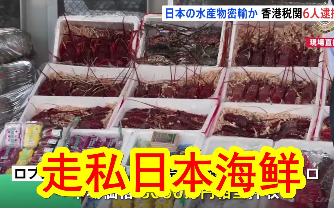 【中日双语】企图走私日本海鲜进中国，香港特区海关逮捕6名嫌疑人。
