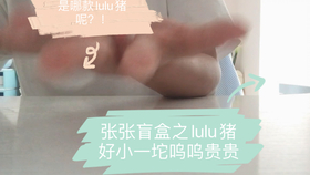 4f759b70d89bfa6de50a0757eb4fa728e1b7e5e7.jpg@280w_158h_1c_100q.jpg