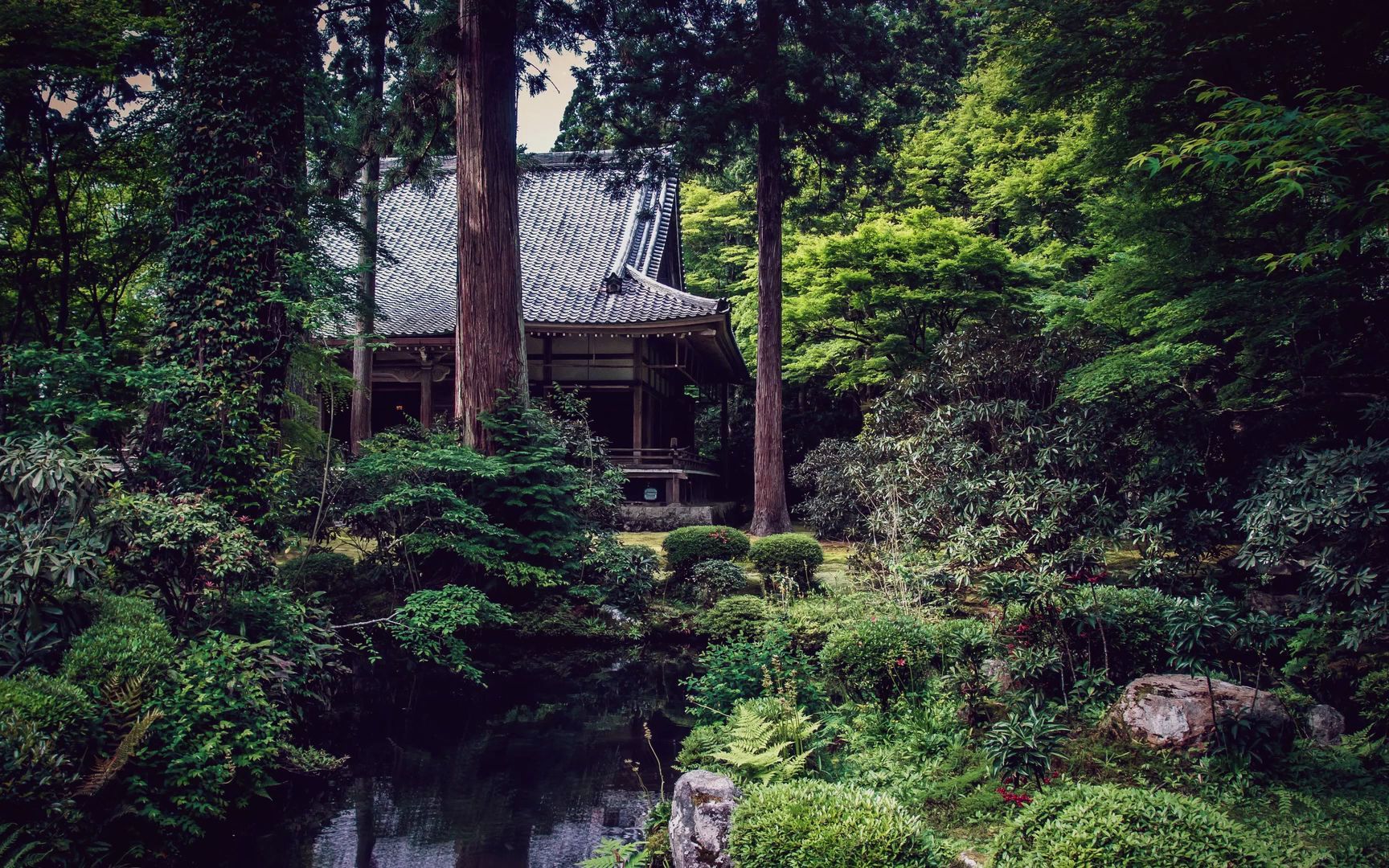 【白噪音】日本花园的音乐氛围——忧郁的音乐和花园里宁静的自然之声