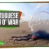 【Scishow】葡萄牙僧帽水母:由有机体组成的有机体