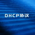 【协议知识讲解】DHCP协议及解码