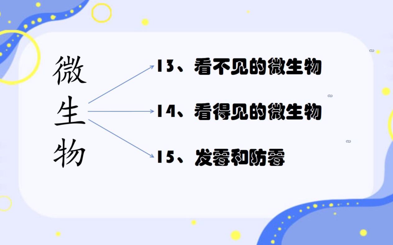 14看得见的微生物.mp4