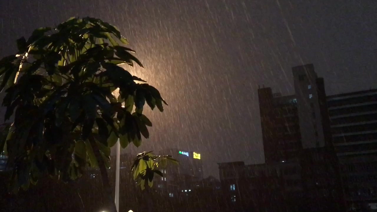 广州淋雨的一晚上