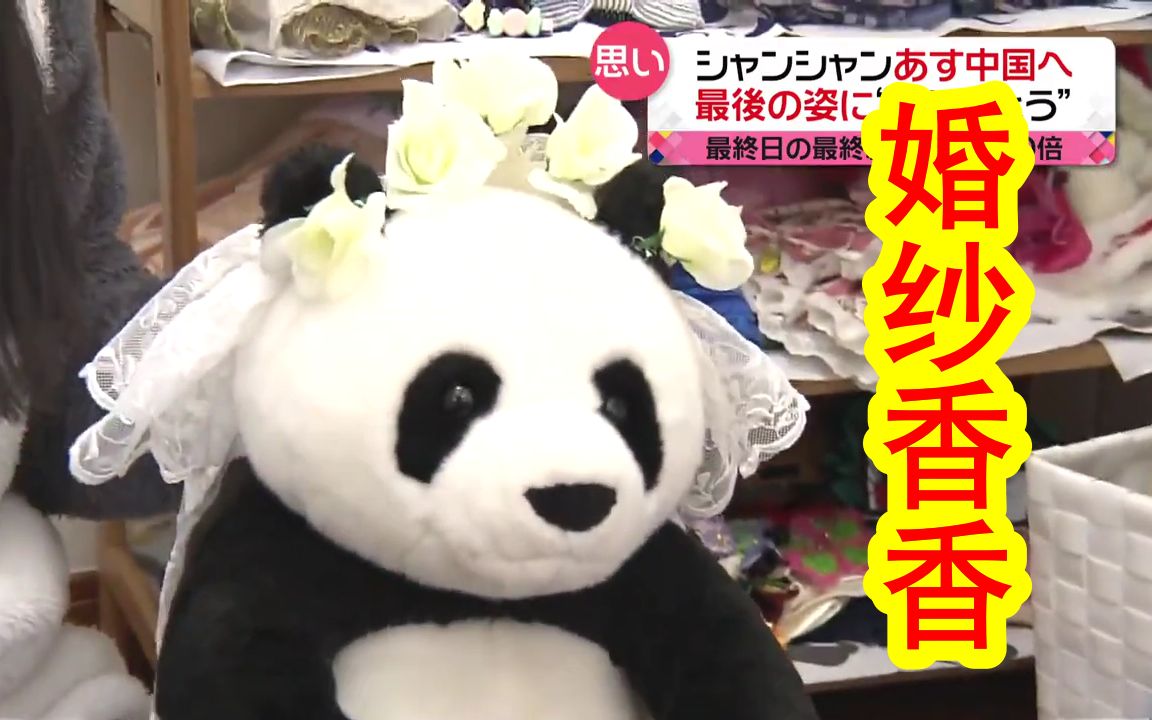 【中日双语】日本民众难舍香香，回中国前一天，即便看不到香香，还是有很多粉丝来到了上野动物园。