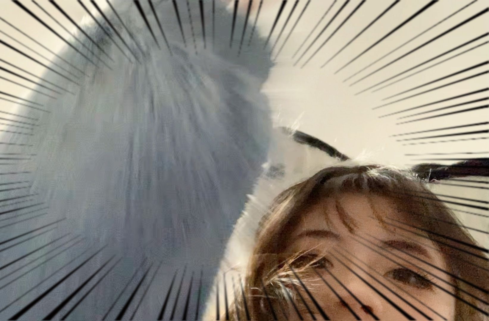 2024过成这样你是怎么睡得着的？！！