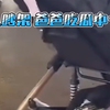 爸爸带娃在路边“吃瓜” 没想到“吃瓜”吃到自己身上 网友：要不是孩子哭了 还以为是个玩偶 # #惊险时刻  #防不胜防