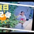 生活日常｜夏日Vlog修剪小花坛