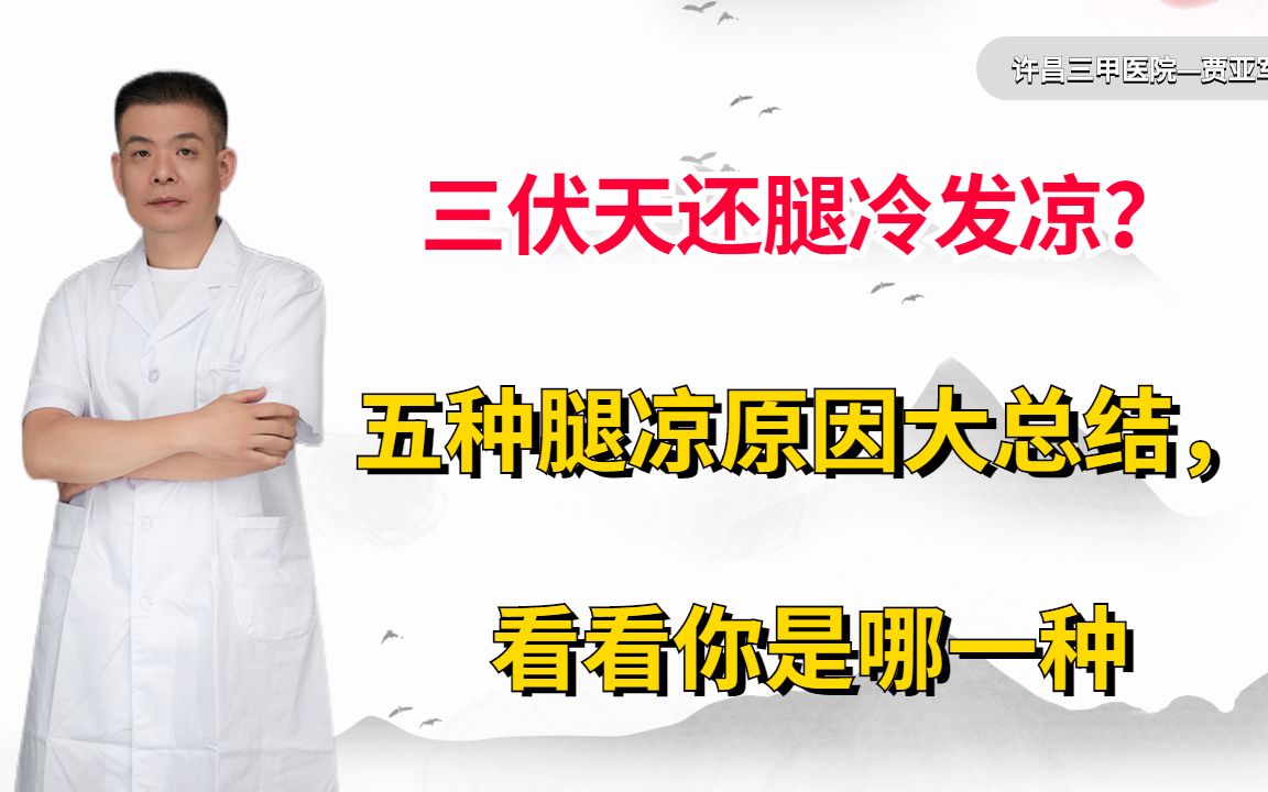 三伏天还腿冷发凉?五种腿凉原因大总结,看看你是哪一种哔哩哔哩bilibili