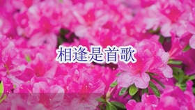 502beaa62b2e750ae7003240389bd6f88e1ea866.jpg@280w_158h_1c_100q.jpg