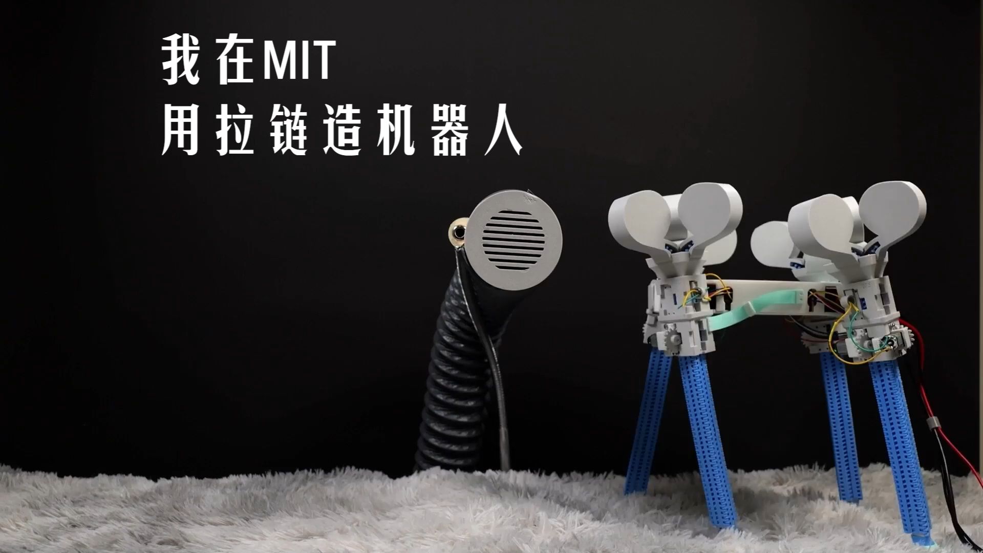 我和一位MIT院士，圆了一个横跨40年的遗憾