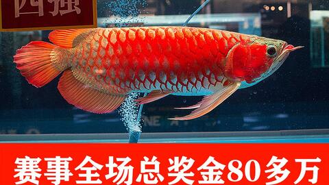 504da87d17009c6cedd051d03015b9ee77426cf7.jpg@480w_270h_1c