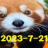2023-7-21【杂谈】漫谈威=慑理论CUT
