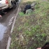 阿廖沙在顿涅茨克采访途中遇乌军火箭炮袭击