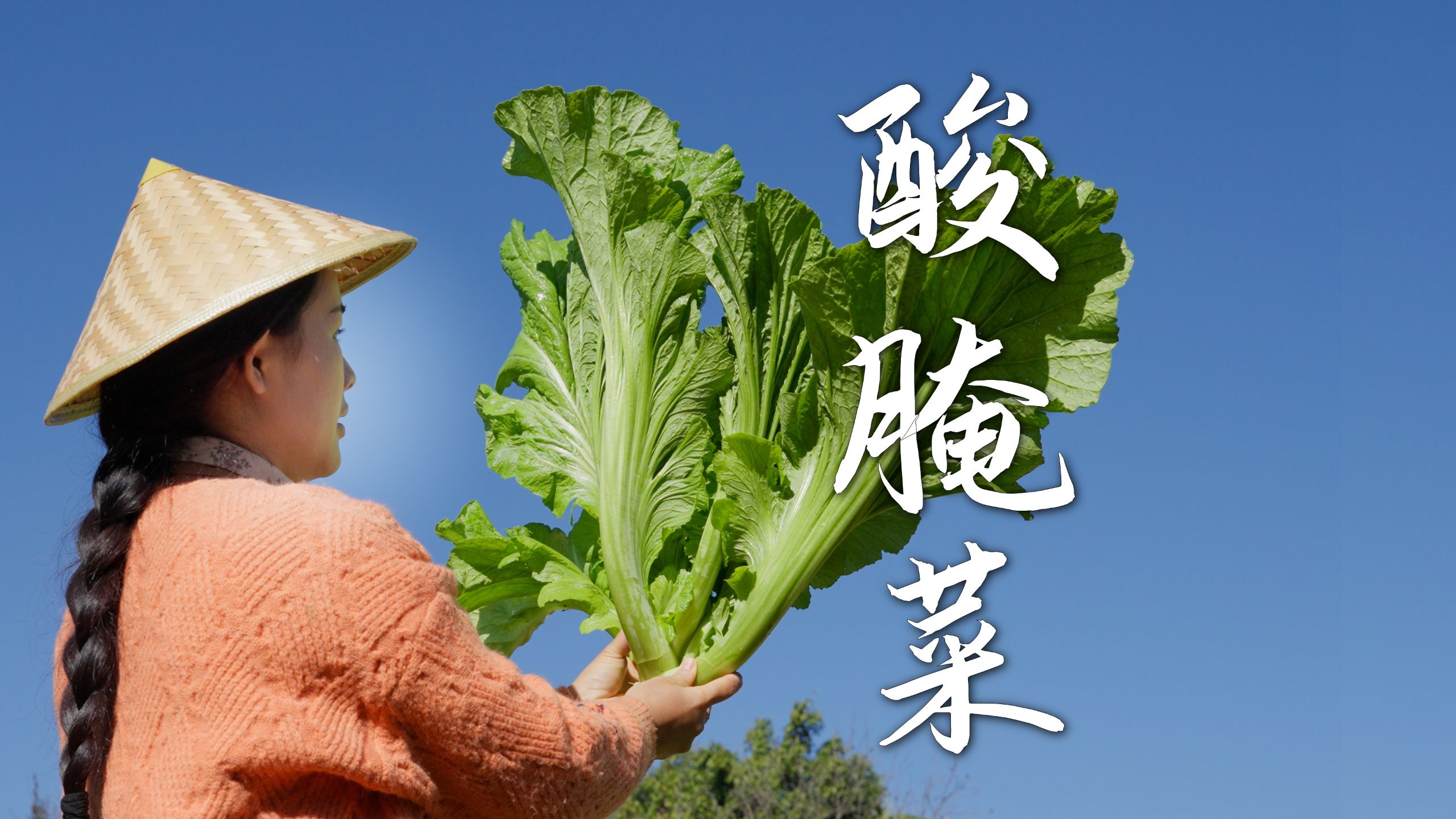 酸腌菜——脆嫩爽口，开胃解腻，云南人最爱的下饭菜。