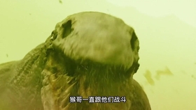 5067a1e36817f135bdd18900f2399ccdf6bffc74.jpg@280w_158h_1c_100q.jpg