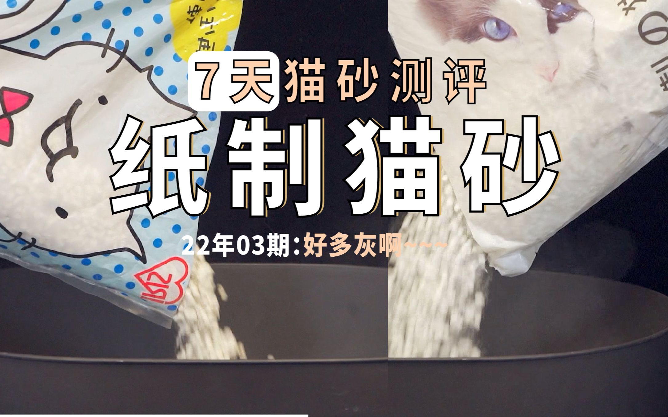 第一次尝试纸猫砂，明白了没事别瞎折腾的道理，不然受伤的只能是自己「22-03期纸猫砂测评」