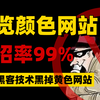 浏览色情网站很爽，但是你已经中招！手把手教你渗透网站，打击违法份子！网络安全/web安全/信息安全/渗透测试/黑客攻防