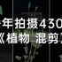 【时五六】2021年拍摄了430天的植物生长混剪，请看，请听！