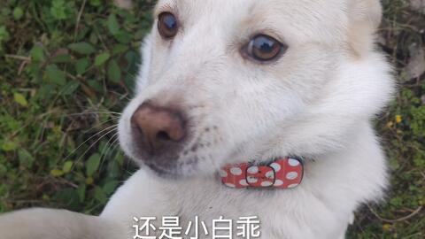 50a038866ccb9a307e2b8497f8aa823482d9c394.jpg@480w_270h_1c