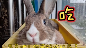 50b1a85f48c68e9b99f696f11d5c447dfcf67153.jpg@280w_158h_1c_100q.jpg