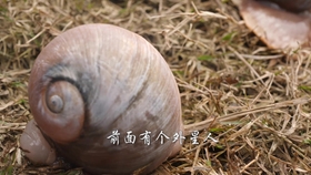 50bc211ddcea60d75dd691fded9fab53136fe387.jpg@280w_158h_1c_100q.jpg