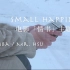 【卡林巴琴/拇指琴】电影「情书」片尾曲Small Happiness