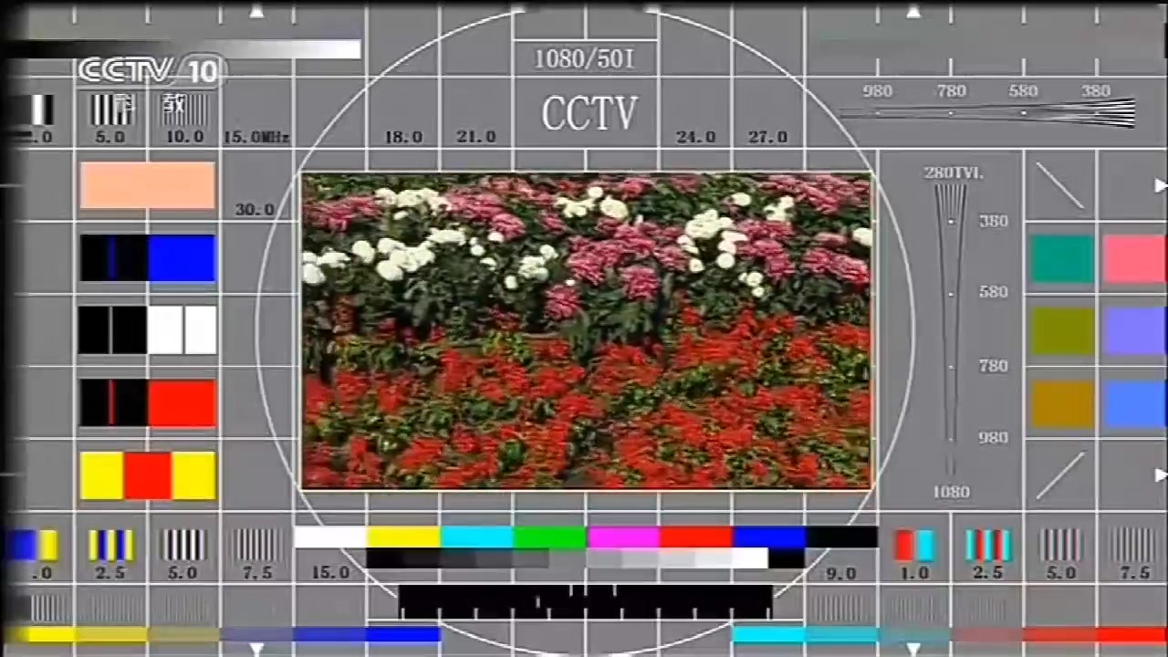 央视科教频道cctv10测试卡