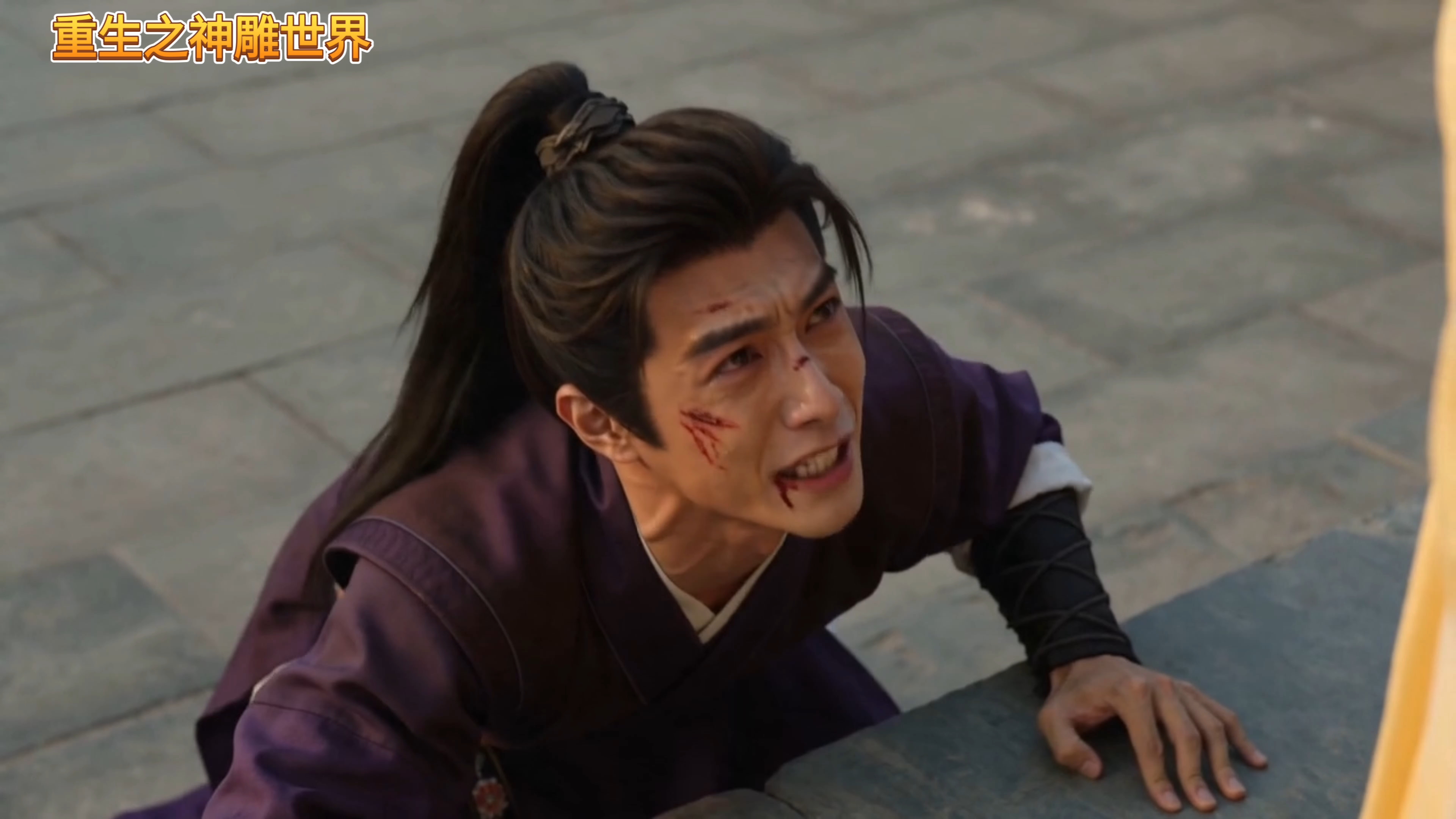 【重生之神雕世界】开局救郭伯母|第25集大武小武告状，郭伯母回归