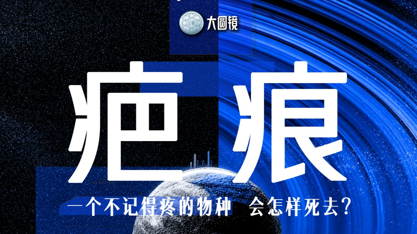 疤痕：一个不记得疼的物种，会怎样死去？