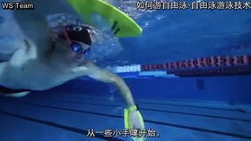 50f5ffd48b2118ee64929cc3388d1e3c6f42b5fe.jpg@280w_158h_1c_100q.jpg