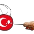 ［波兰球］奥 斯 曼 国(土耳其) 历 史1459----1718