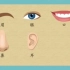 一年级语文动画：口耳目