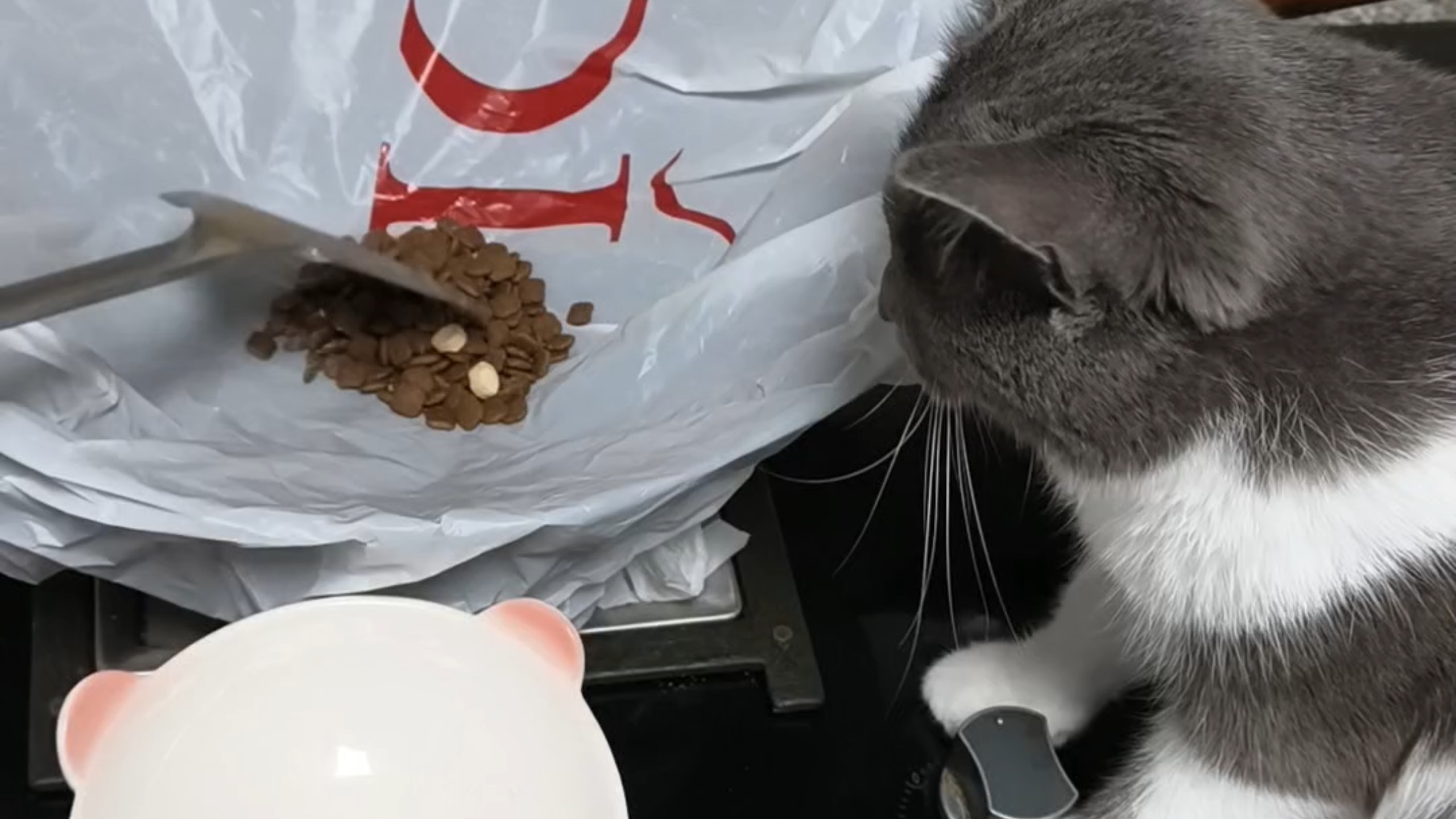 又是炒猫粮翻车的一天……