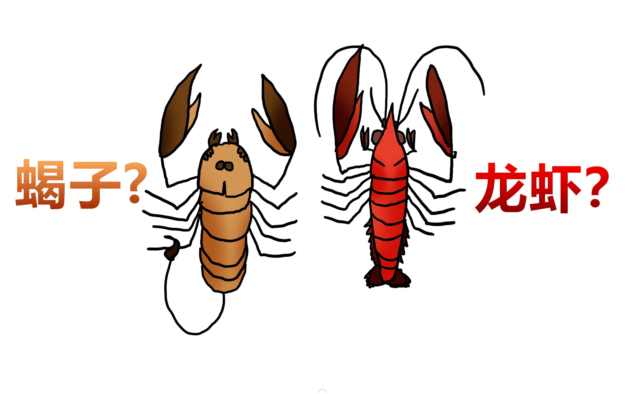蝎子和龙虾明明关系很远为什么长得却很像蝎子天生杀手中篇