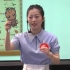 第13届【小学英语】教师教学基本功大赛【29节】2019年