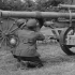 德国囚犯（德国战俘）在营地向美国士兵解释被缴获的大炮如何工作