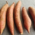 保存红薯有绝招，越放越甜，便宜买多放多久都不坏，不发芽，超实用