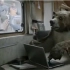 【戛纳创意广告节最高奖广告】BEAR《熊导演》【超清】