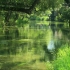 【大自然的宝藏·4K画质】村边溪流水车旁的缓缓流水声静心1小时 2160×3840