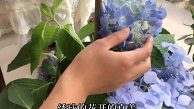 5171a9883dbfba710965bde468c5fd3849807d7e.jpg@280w_158h_1c_100q.jpg