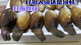 517bba51a8929b89fbab1f799a50bfa7685d916e.jpg@280w_158h_1c_100q.jpg