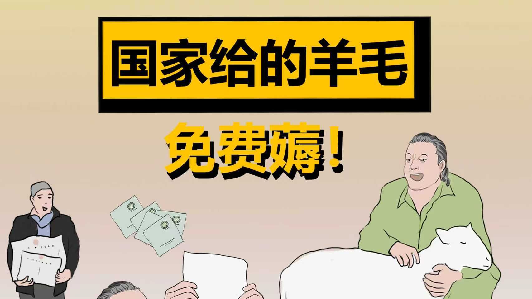 国家给的免费羊毛，你竟然还没薅？-蛋解杂谈-蛋解杂谈-哔哩哔哩视频