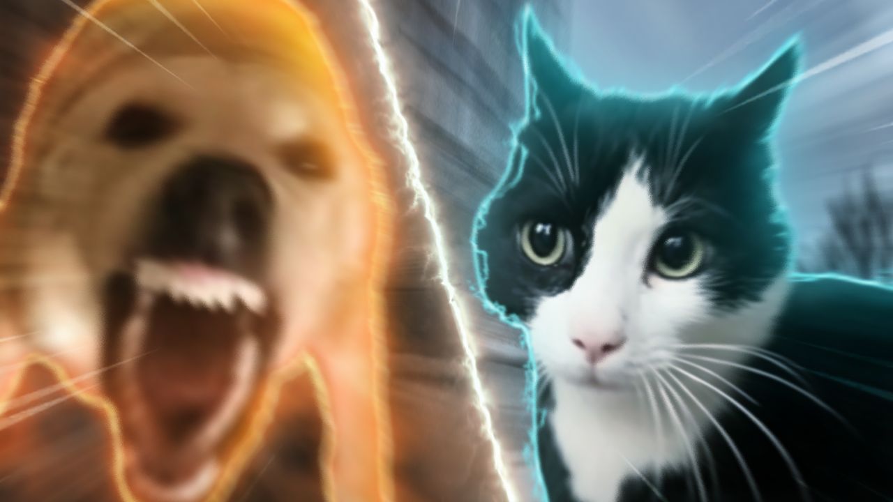 "大狗？？老吴！！"