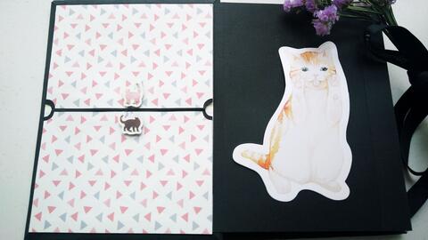 518e89bfc1771090f6bec09bcb89c3ed7fa9e0a3.jpg@480w_270h_1c