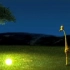 【动画短片】JUNGLE BEAT系列之MOONDANCE（长颈鹿与月亮）